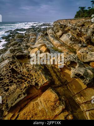 Sandstone, Del Mar Ecological Preserve, Sea Ranch, Sonoma Coast, Sonoma County, Kalifornien Stockfoto