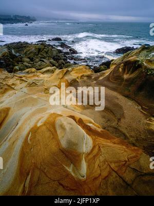 Sandstone, Del Mar Ecological Preserve, Sea Ranch, Sonoma Coast, Sonoma County, Kalifornien Stockfoto