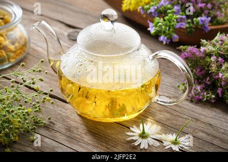 Glas-Teekocher mit gesundem Kräutertee, Kamille, Ringelblume, Thymianblüten auf Holztisch. Alternative Kräutermedizin. Stockfoto