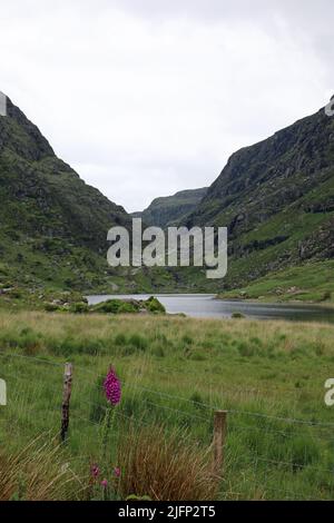 Lücke von Dunloe in Irland Stockfoto