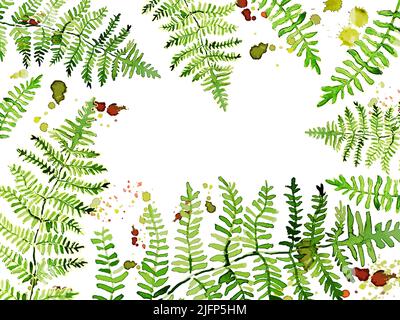 Hintergrund mit Aquarell grünen Farnblättern. Vektorgrafik Stock Vektor