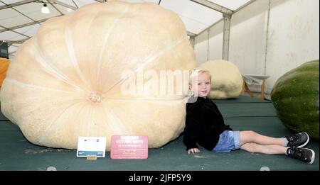 Charlie Andrews 3yrs aus Hereford im Kampf gegen Vincent Sjodins ersten Preisträger Pumpkin 502kg bei der Malvern Autumn Show Canna UK National Giant Vegetables Championships, die am Freitag, 24.. September, auf dem Three Counties Showground in Worcestershire ausgetragen werden Wann: 24. September 2021 Credit: Paul Nicholls/WENN Stockfoto