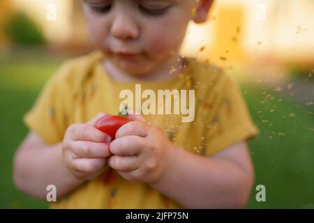 Netter kleiner Junge, der im Sommer im Garten Tomaten isst. Stockfoto