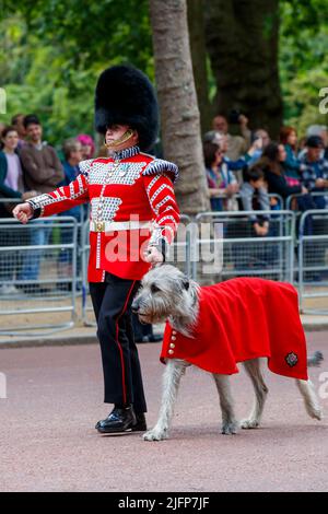 Seamus Irish Wolfhound mit dem Guardsman Adam Walsh bei Trooping the Color, Colonel’s Review in the Mall, London, England, Großbritannien am Samstag, Ma Stockfoto