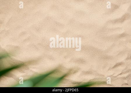 Tropisches Design nach dem Konzept von Sommer, Strand und Urlaub: Ein glatter Sandhintergrund mit Palmenblättern, die im Vordergrund herausgucken. Kreative Drehmaschine Stockfoto