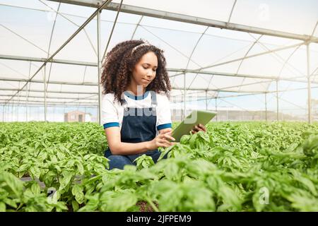 Einbeziehung neuer Methoden und Techniken. Aufnahme einer jungen Frau mit einem digitalen Tablet während der Arbeit auf einem Bauernhof. Stockfoto