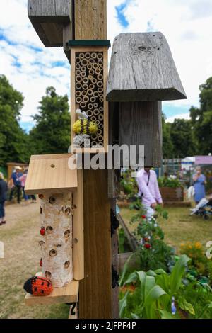 London, Großbritannien, 4.. Juli 2022, das RHS Hampton Court Palace Garden Festival 2022 öffnet vom 4.. Bis 9.. Juli. Andrew Lalchan Photography/Alamy Live News, ist ein Fest der Gartenarbeit voller Dinge, die es zu sehen und zu tun gibt Stockfoto