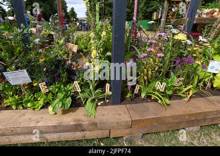 London, Großbritannien, 4.. Juli 2022, das RHS Hampton Court Palace Garden Festival 2022 öffnet vom 4.. Bis 9.. Juli. Andrew Lalchan Photography/Alamy Live News, ist ein Fest der Gartenarbeit voller Dinge, die es zu sehen und zu tun gibt Stockfoto