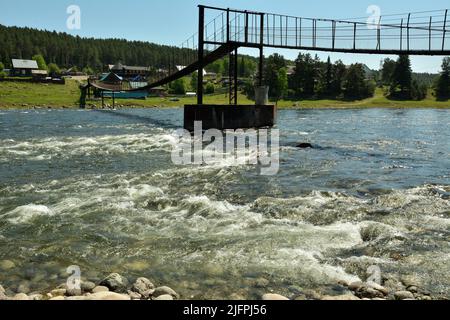 Hängebrücke aus Metall über einen turbulenten Fluss am Rande eines kleinen Dorfes. Biya Fluss, Altai, Sibirien, Russland. Stockfoto