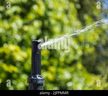 Automatische Sprinkler zur Bewässerung von Gras Bewässerungssysteme Für Den Garten. Bewässerungssystem Bewässerung des grünen Grases. Bewässerung der Sprinkleranlage im Wohngebiet Stockfoto