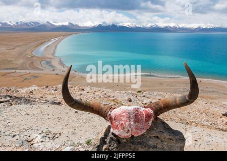 Luftaufnahme des Namtso-Sees in Tibet und des Yak-Schädels, China Stockfoto