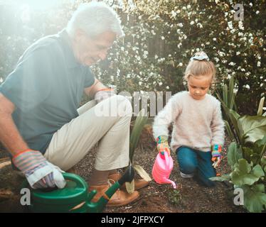 Gartenarbeit fügt Jahre zu Ihrem Leben hinzu. Aufnahme eines entzückenden kleinen Mädchens, das mit ihrem Großvater im Garten arbeitet. Stockfoto