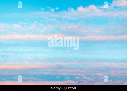 Panorama des Himmels mit rosa Wolken bei Sonnenuntergang oder Sonnenaufgang. Abstrakter Hintergrund mit rosa, lila und blauen Farben Wolken. Hellrosa Wolken in Sonnenuntergangsblau Stockfoto