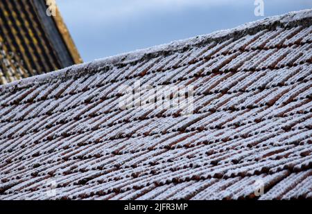 Schnee auf dem Pantiled Dach, suffolk, england Stockfoto