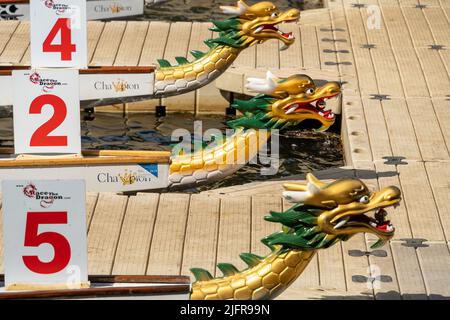 Das Bradford Dragon Boat Festival auf dem River Aire im Roberts Park, Saltaire, Bradford, Großbritannien. Stockfoto