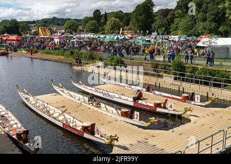 Das Bradford Dragon Boat Festival auf dem River Aire im Roberts Park, Saltaire, Bradford, Großbritannien. Stockfoto