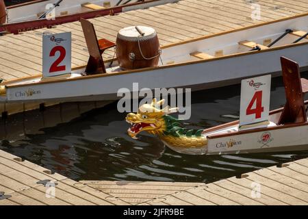 Das Bradford Dragon Boat Festival auf dem River Aire im Roberts Park, Saltaire, Bradford, Großbritannien. Stockfoto