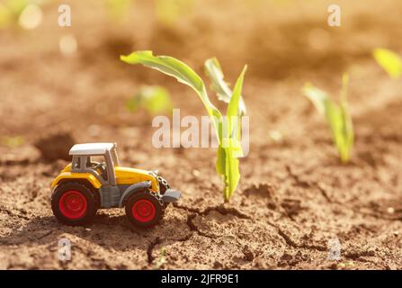 Das Spielzeug-Modell des landwirtschaftlichen Traktors im kultivierten Maiskeimfeld, selektiver Fokus Stockfoto