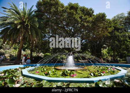 Großer Brunnen mit Wasserspritzern im Botanischen Garten von Cagliari Stockfoto