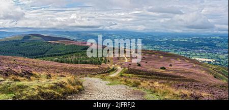 Blick südöstlich vom Gipfel des Moel Famau in der Clwydian Mountain Range mit dem Clwyd Forest und Vale of Clwyd im Hintergrund North Wales UK Stockfoto
