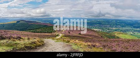 Blick südöstlich vom Gipfel des Moel Famau in der Clwydian Mountain Range mit dem Clwyd Forest links und Vale of Clwyd im Hintergrund North Wales UK Stockfoto