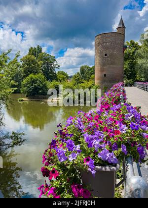 Eine vertikale Aufnahme einer Burg am Ufer eines Sees, umgeben von wunderschönen Bäumen und bunten Blumen Stockfoto