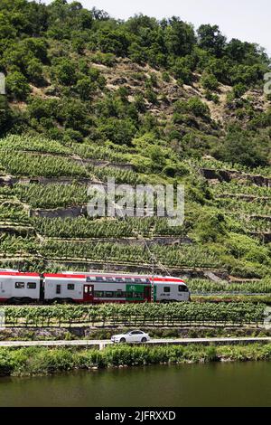 Transport entlang der Moselufer im Weinanbaugebiet Stockfoto