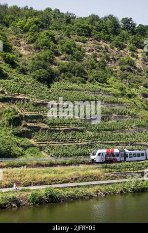 Transport entlang der Moselufer im Weinanbaugebiet Stockfoto