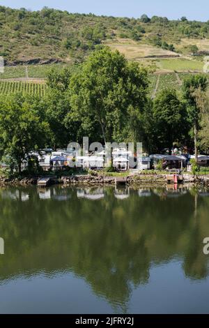 Camping, wildes Campen in Zelten und Wohnwagen am Rheinufer in Deutschland. Zelte spiegeln sich im Wasser. Stockfoto