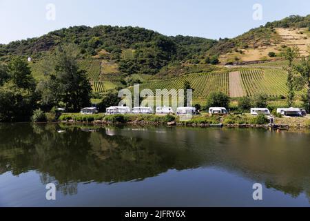 Camping, wildes Campen in Zelten und Wohnwagen am Rheinufer in Deutschland. Zelte spiegeln sich im Wasser. Stockfoto