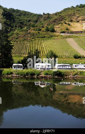 Camping, wildes Campen in Zelten und Wohnwagen am Rheinufer in Deutschland. Zelte spiegeln sich im Wasser. Stockfoto