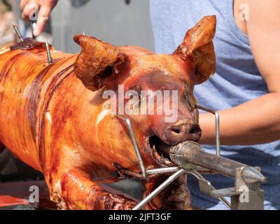Vorderseite eines gegrillten Spanferdes auf einem Spieß Stockfoto