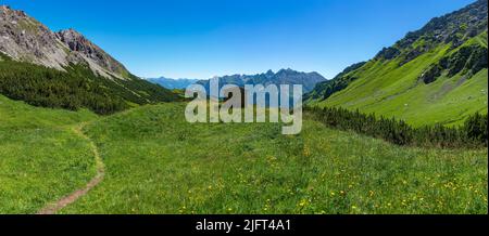 Kleine Holzhütte auf Almwiese. Auf einem mit Blumen übersäten Hügel steht eine Hütte in den Brand Valley Bergen. An der schmutzigen Straße steht eine alpine Scheune Stockfoto