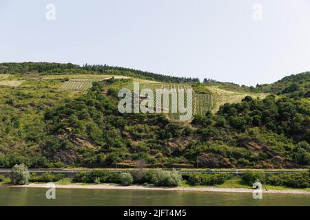 Panoramabilder von einer Flusskreuzfahrt entlang des Rheins und der Mosel in der Weinbauregion West-Rheinland Stockfoto