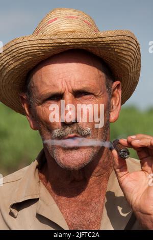 Kuba, südlich von Colon in der Provinz Matanzas, jäten und pflügen Bauern ein Feld, um es für die Anpflanzung von neuem Zuckerrohr vorzubereiten. Stockfoto