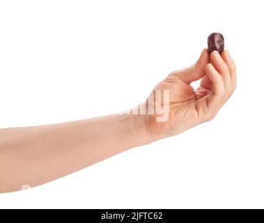 Datum Fruchtweg isoliert auf weiß Stockfoto