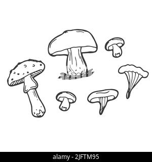 Vektor-Pilze und Waldsymbole auf weißem Hintergrund. Set von Vektor-handgezeichneten, doodles Pilze. Auf weißem Hintergrund isolierte Symbole für Rezepte, Stock Vektor