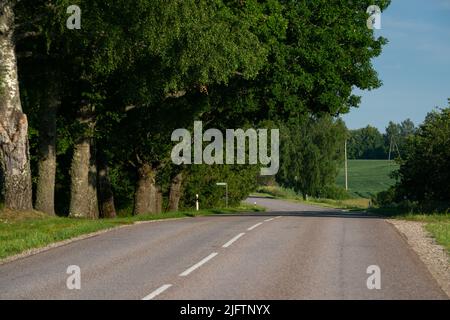 Asphaltierte Landstraße mit einer Biegung unter riesigen Eichen, die vom warmen Licht des Sommeruntergangs erleuchtet werden. Stockfoto