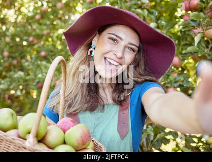 Porträt einer glücklichen Frau, die Selfies macht, während sie an sonnigen Tagen auf einer nachhaltigen Obstplantage einen Korb mit frisch gepflückten Äpfeln im Freien hält. Fröhlich Stockfoto