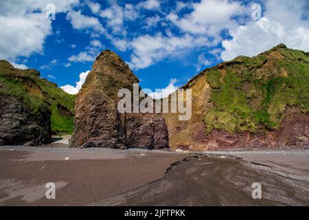 Eintritt zur Ballydowane Cove an der Copper Coast in der Grafschaft Waterford, Irland. Stockfoto