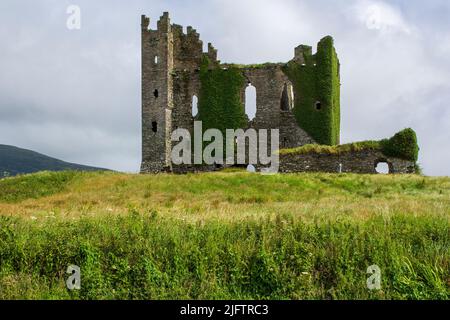 Das Schloss liegt auf einem grasbewachsenen Hügel mit Blick auf das Meer 3km von Cahersiveen in der Grafschaft Kerry, Irland. Die heutigen Ruinen wurden im 16.. Jahrhundert erbaut. Stockfoto