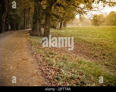Herbstpanorama bei Sonnenuntergang. Horizontale Ansicht. Stockfoto