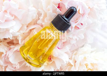 Kosmetische Serumflasche mit ätherischem Öl und Pfingstrosenblüten Hintergrund. Naturkosmetik, Hautpflegekonzept Stockfoto