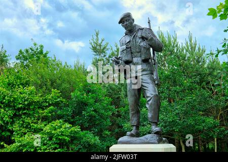 Das Durham Light Infantry Memorial, ein Denkmal im National Memorial Arboretum, Staffordshire, England, Großbritannien Stockfoto