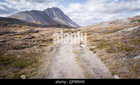Wanderweg führt durch das alpine Tal mit Bergen in der Umgebung, Jasper N.Park, Kanada Stockfoto