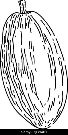 Handgezeichneter Vektor mit Kakaobohne-Skizze Stock Vektor