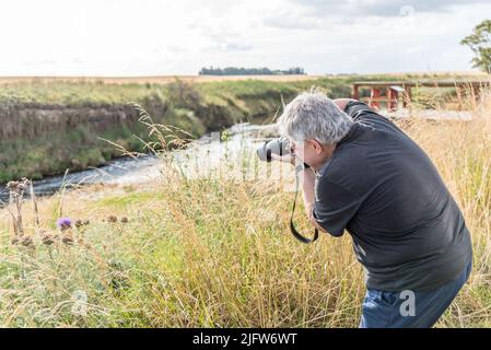 Fotograf mit grauem Haar, der mit einer Kamera von Disteln auf dem Feld in der Nähe des Flusses fotografiert. Stockfoto