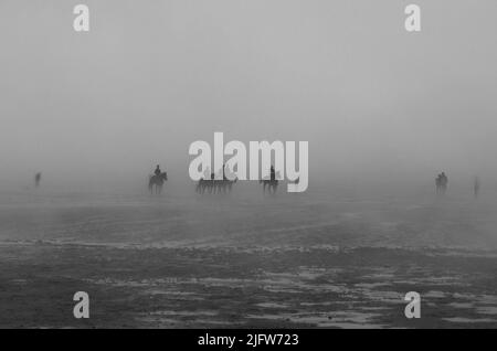 Reiten bei Ebbe in Deutschland Stockfoto