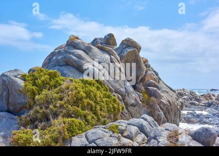 Eine felsige Küste mit grünen Flechten und Wellen, die durch die Küste Rauschen. Ein Meer mit einer felsigen Küste. Blick auf die felsige Küste von Kapstadt Stockfoto