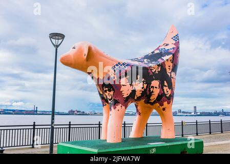 Superlambana ist eine Kreuzung zwischen einer Banane und einem Lamm und wurde vom japanischen Künstler Taro Chiezo aus New York City entworfen. Im Jahr 2008, als Teil von Liverpo Stockfoto